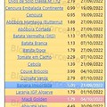 01 Promoções-Descontos-45372.jpg